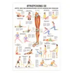 Wall chart - stretching III - , LxW 100x70 cm