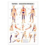 Wall chart - taping-basic techniques I - , LxW 100x70 cm