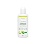 cosiMed Massage Lotion Ginkgo Lime, 250 ml