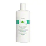 cosiMed Wellness Massage Oil fresh mint, 1 l