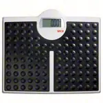 seca bathroom scale Robusta 813