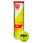1x Wilson tennisball CHAMPIONSHIP EXTRA DUTY , can of 4