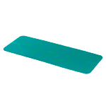 AIREX gymnastics mat Fitline 140, LxWxH 140x60x1 cm