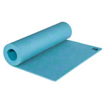 AIREX gymnastics mat TrExercise, LxWxH 180x60x0.8 cm