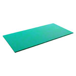 AIrEX Exercise Mat Hercules, LxWxH 200x100x2.5 cm