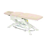 Lojer Capre F3R electric with wheel automatic & rotary switch