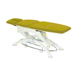 Lojer Capre F3R electric with wheel automatic & rotary switch