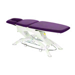 Lojer Capre F3R electric with wheel automatic & rotary switch