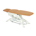Lojer Capre F3R electric with wheel automatic & rotary switch