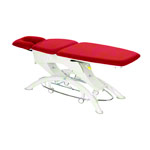 Lojer Capre F3R electric with wheel automatic & rotary switch