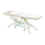 Lojer Capre F5R electric with wheel automatic