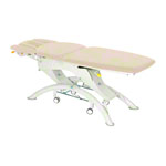 Lojer Capre F5R electric with wheel automatic
