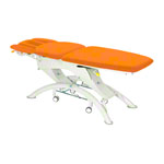 Lojer Capre F5R electric with wheel automatic