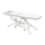 Lojer Capre F5R electric with wheel automatic