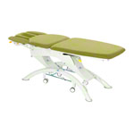 Lojer Capre F5R electric with wheel automatic