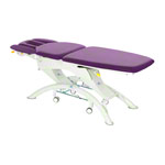 Lojer Capre F5R electric with wheel automatic