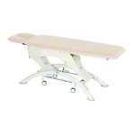 Lojer Capre M2R electric with wheel automatic