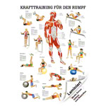 Mini-Poster Krafttraining Rumpf, LxB 34x24 cm