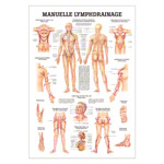 Mini-Poster - Manual Lymph Drainage - L x W 34x24 cm