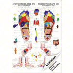 Mini-Poster - Reflex zones foot - , L x W 34x24 cm
