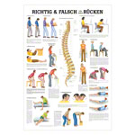 Mini Poster - Right and wrong for your back, - L x W 34x24 cm