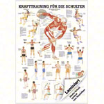 Mini Poster - Strength training for your shoulder -, LxW 34x24 cm
