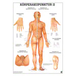 Mini-Poster - body acupuncture II - , LxW 34x24 cm