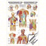 Mini-Poster - trigger points head and torso - , L x W 34x24 cm