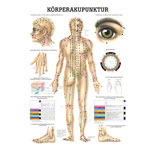 Mini-poster - acupuncture - , L x W 34x24 cm