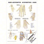 Mini-poster - hand-acupuncture - L x W 34x24 cm
