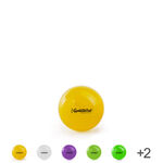 PEZZI gymnastics ball,  42 cm