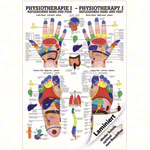 Poster - Reflex zones - , L x W 70x50 cm