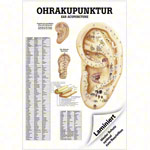 Poster - ear acupuncture - , L x W 70x50 cm