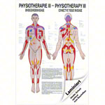 Posters - connective tissue massage - L x W 70x50 cm