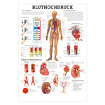 Posters - high blood pressure - , LxW 70x50 cm