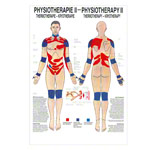 Posters - thermotherapy - L x W 70x50 cm
