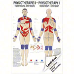 Posters - thermotherapy - L x W 70x50 cm