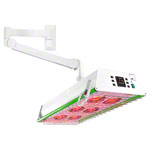 Red light emitters TGS Therm 6 wall model incl. dimmer