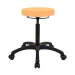 Swivel stool standard with comfort padding and roles