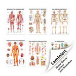 Teaching board set: 6 teaching boards, LxW 100x70 cm