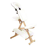 Therapy chair Delta Harmony incl. Shoulder strap