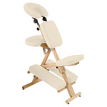 Therapy chair Delta Harmony incl. Shoulder strap