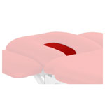U-shaped nose slot insert for Lojer therapy couch