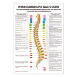 Wall chart - Dorntherapie - , LxW 100x70 cm