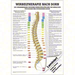 Wall chart - Dorntherapie - , LxW 100x70 cm