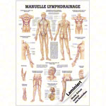 Wall chart - Manual Lymph Drainage - , LxW 100x70 cm