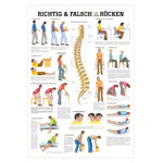 Wall chart - Right or wrong for your back, - LxW 100x70 cm