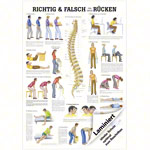 Wall chart - Right or wrong for your back, - LxW 100x70 cm