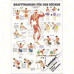 Wall chart - Strength training for your back -, LxW 100x70 cm