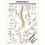 Wall chart - Stretching II - , LxW 100x70 cm